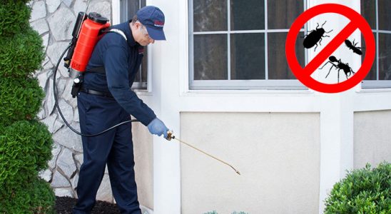 Akkışla Hamam Böceği İlaçlama böcek ilaçlama ve haşere kontrolü — ilaclama-tr.com